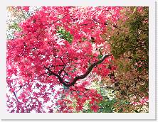 PB010235 * 2048 x 1536 * (899KB)