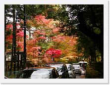PB010238 * 2048 x 1536 * (1023KB)