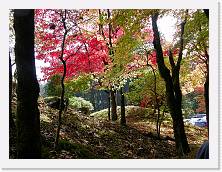 PB010243 * 2048 x 1536 * (1.23MB)