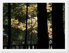 PB010288 * 2048 x 1536 * (1.32MB)