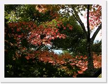 PB030411 * 2048 x 1536 * (1.44MB)