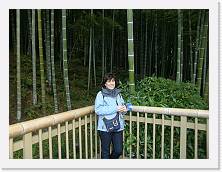PB030417 * 2048 x 1536 * (1.26MB)