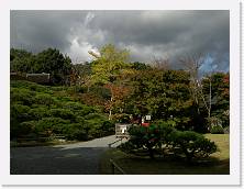 PB030431 * 2048 x 1536 * (1.45MB)