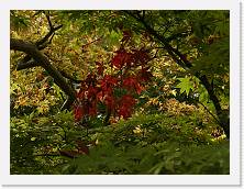 PB030434 * 2048 x 1536 * (1.38MB)