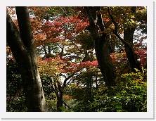 PB030440 * 2048 x 1536 * (1.43MB)