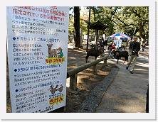 PB040496 * 2048 x 1536 * (886KB)