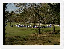 PB040534 * 2048 x 1536 * (1.37MB)
