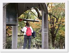 PB050594 * 2048 x 1536 * (725KB)