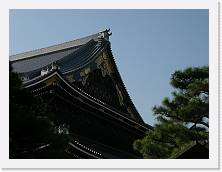 PB060639 * 2048 x 1536 * (1.31MB)