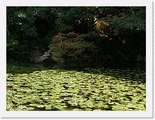 PB060651 * 2048 x 1536 * (1.43MB)