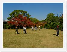PB060652 * 2048 x 1536 * (741KB)