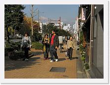 PB060663 * 2048 x 1536 * (603KB)