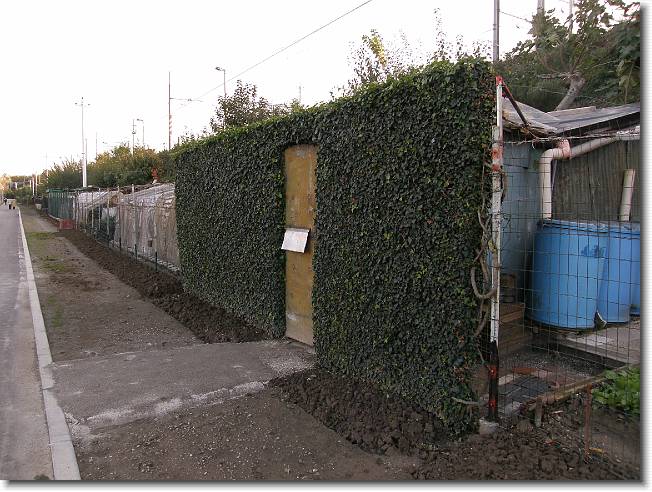 Clicca per scorrere le foto originali ingrandite