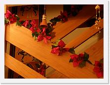 PC310031 * 2048 x 1536 * (1.21MB)