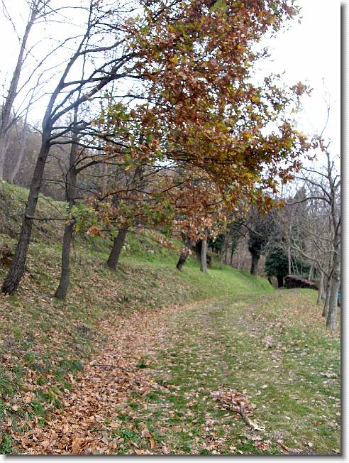 Clicca per scorrere le foto originali ingrandite
