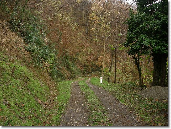 Clicca per scorrere le foto originali ingrandite