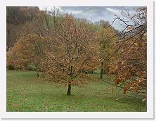 PC070024 * 2048 x 1536 * (1.38MB)