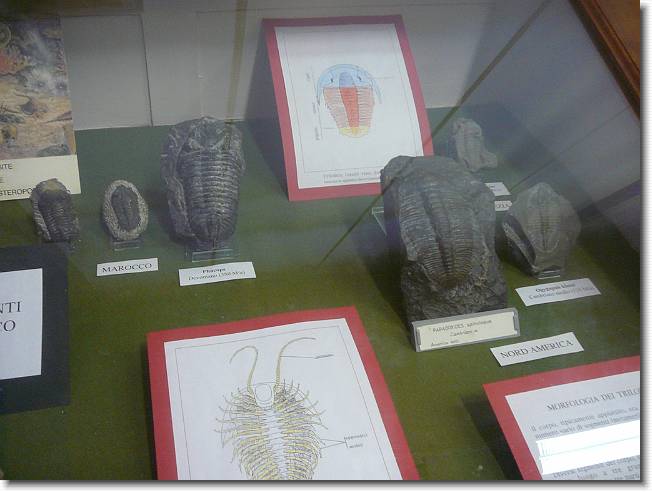 Clicca per scorrere le foto originali ingrandite