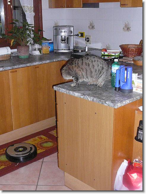 Clicca per scorrere le foto originali ingrandite