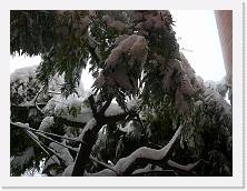 P1030971 * 2048 x 1536 * (1.59MB)