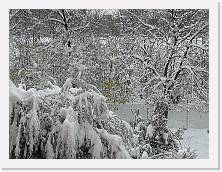P1030973 * 2048 x 1536 * (1.68MB)