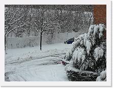 P1030974 * 2048 x 1536 * (1.61MB)