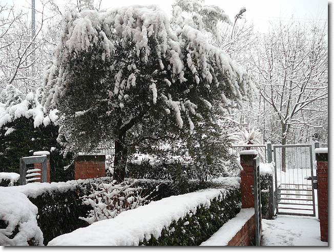 Clicca per scorrere le foto originali ingrandite