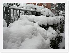 P1040039 * 2048 x 1536 * (1.56MB)
