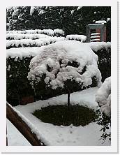 P1040043 * 2048 x 1536 * (1.59MB)
