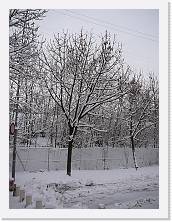 P1040087 * 2048 x 1536 * (1.47MB)