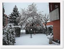 P1040089 * 2048 x 1536 * (1.58MB)