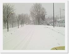 R1012010037 * 2048 x 1536 * (568KB)