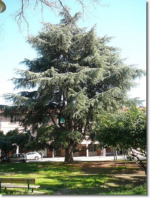 Clicca per scorrere le foto originali ingrandite