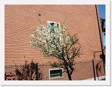 P1040233 * 2048 x 1536 * (1.54MB)