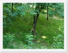 P1010042 * 2048 x 1536 * (1.7MB)