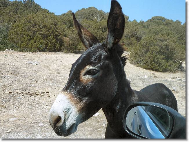 Clicca per scorrere le foto originali ingrandite
