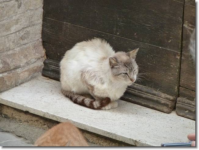 Clicca per scorrere le foto originali ingrandite