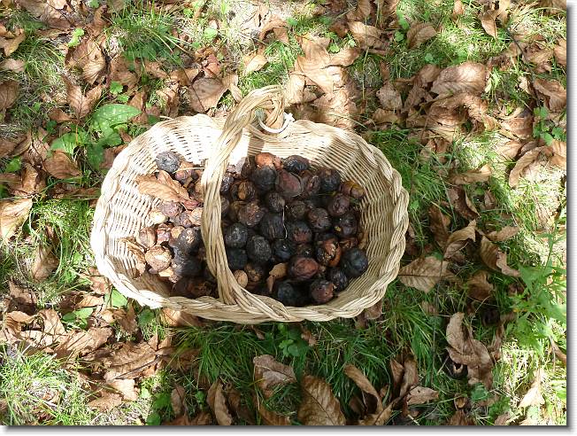 Clicca per scorrere le foto originali ingrandite
