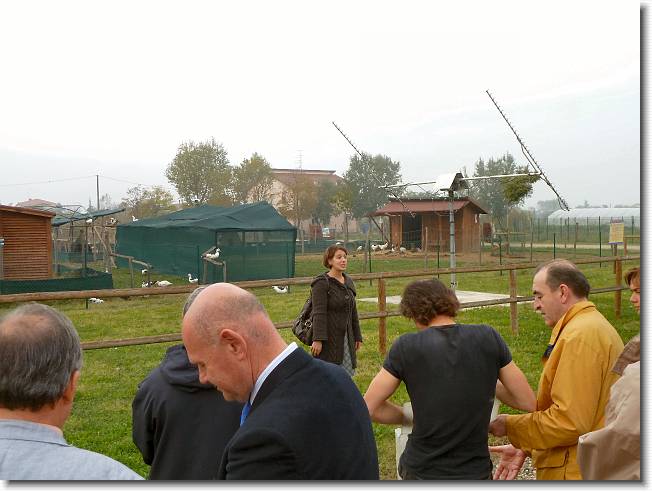 Clicca per scorrere le foto originali ingrandite