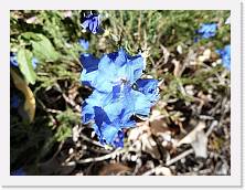 P1010366 * 2048 x 1536 * (442KB)