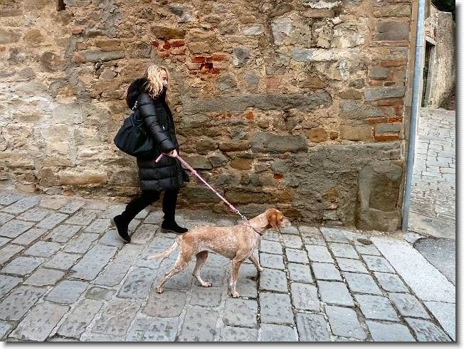 Clicca per scorrere le foto originali ingrandite
