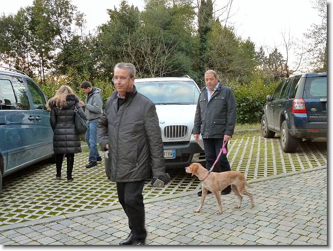 Clicca per scorrere le foto originali ingrandite
