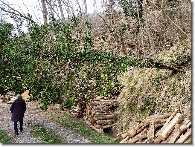 Clicca per scorrere le foto originali ingrandite