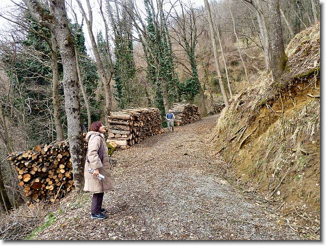Clicca per scorrere le foto originali ingrandite