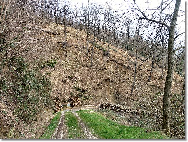 Clicca per scorrere le foto originali ingrandite