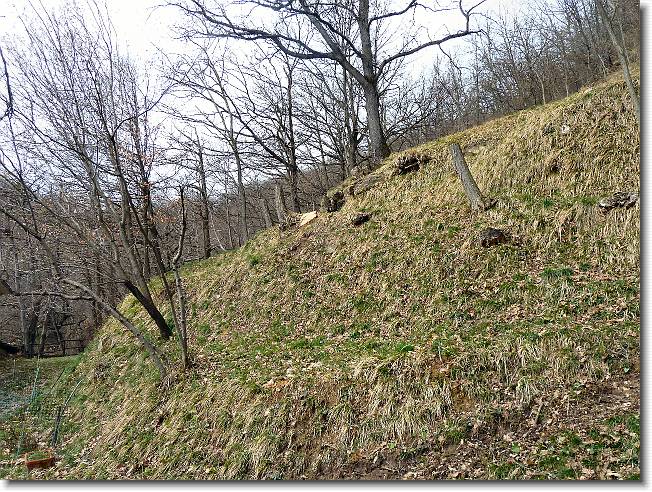 Clicca per scorrere le foto originali ingrandite