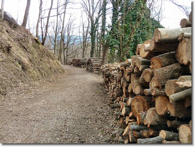 Clicca per scorrere le foto originali ingrandite