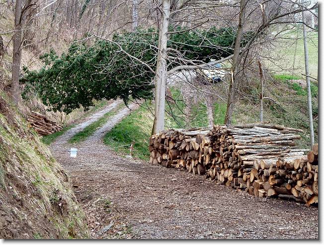 Clicca per scorrere le foto originali ingrandite