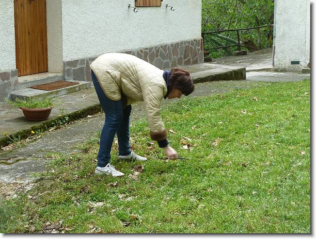 Clicca per scorrere le foto originali ingrandite
