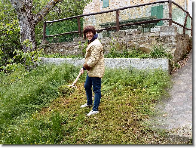 Clicca per scorrere le foto originali ingrandite